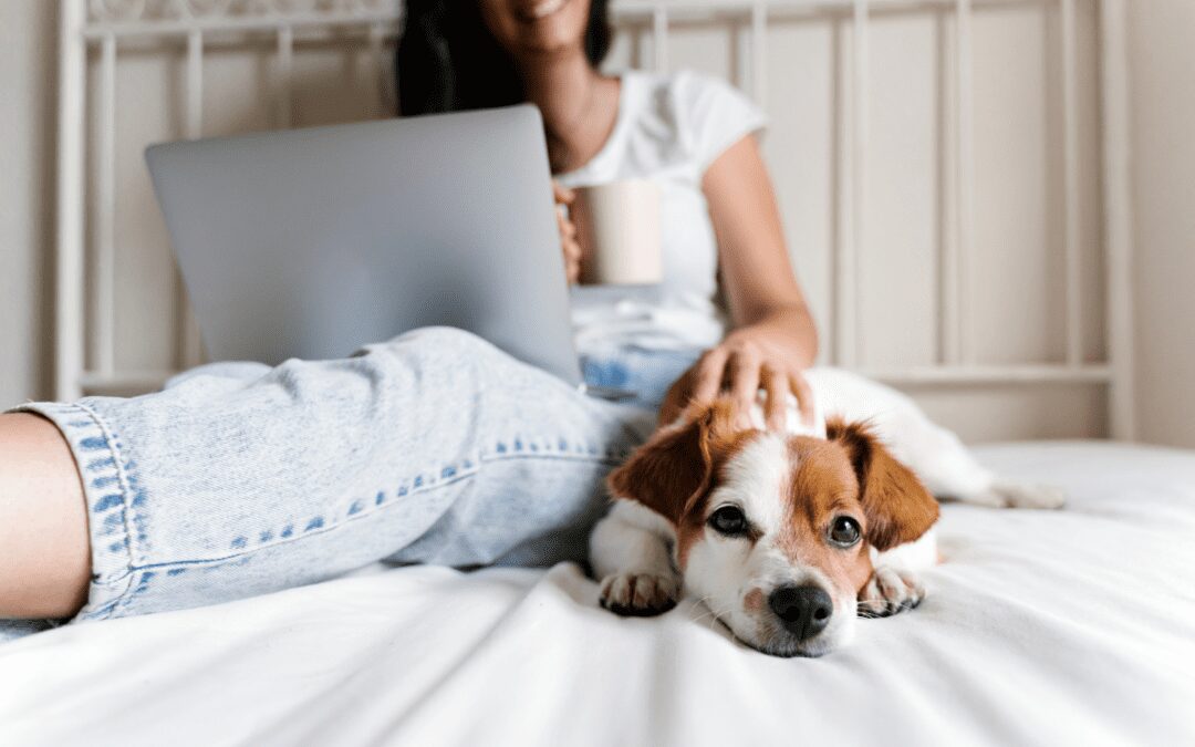 What I Wish People Knew Before Bringing a Dog Home