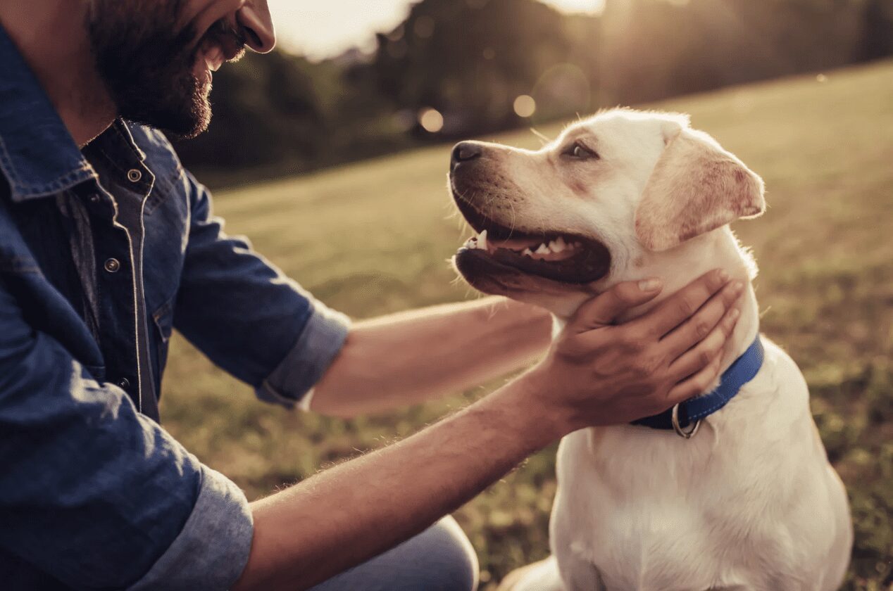 Man and dog