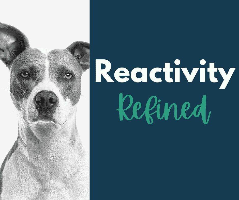 Reactivity, Refined