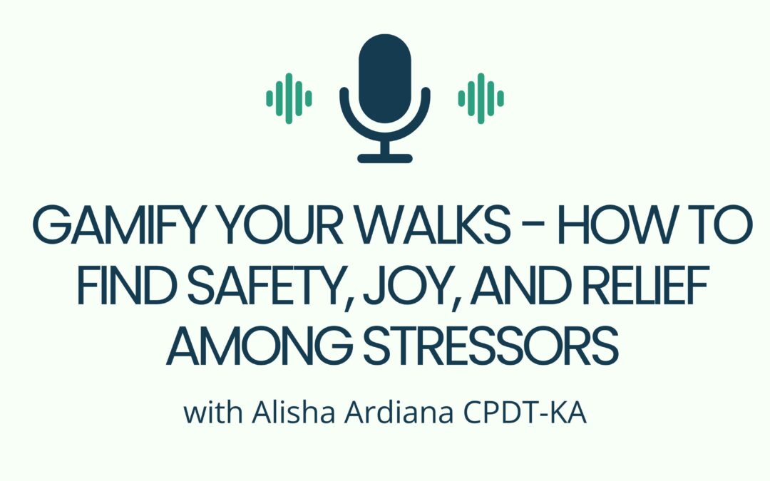Gamify Your Walks – How to Find Safety, Joy, and Relief Among Stressors
