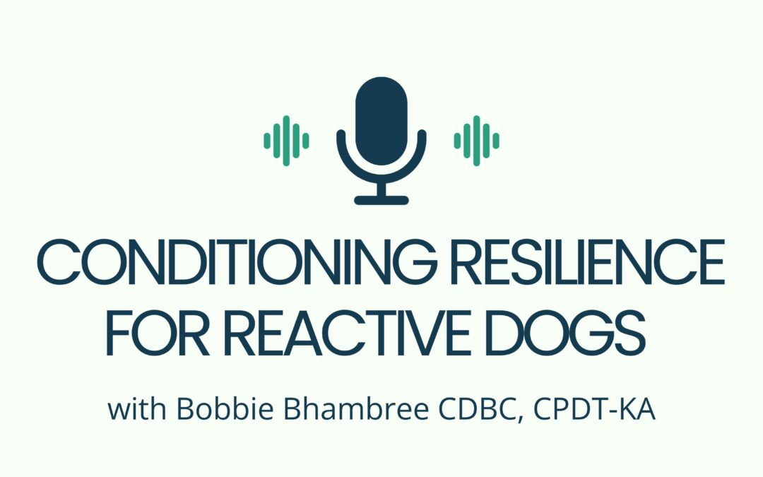 Conditioning Resilience for Reactive Dogs