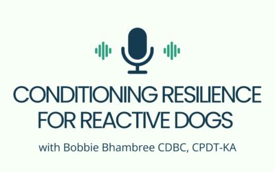 Conditioning Resilience for Reactive Dogs