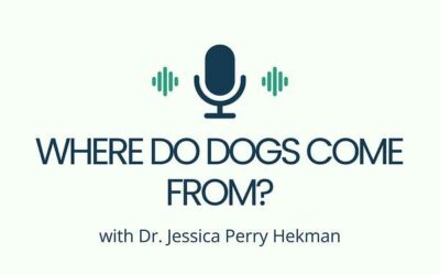 Where Do Dogs Come From?