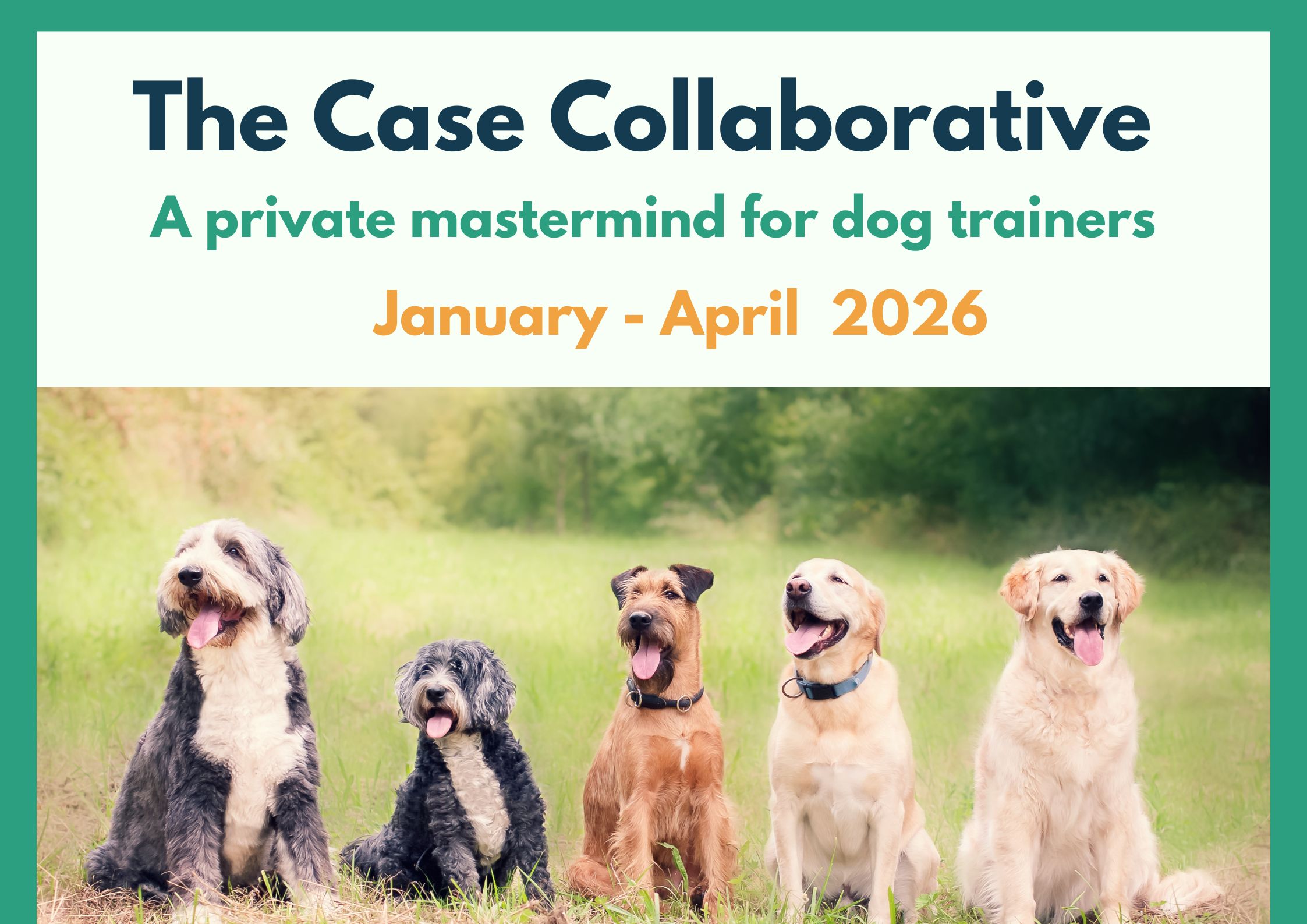 Case Collaborative Graphic