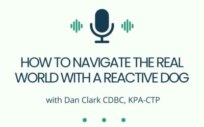 How To Navigate the Real World with a Reactive Dog