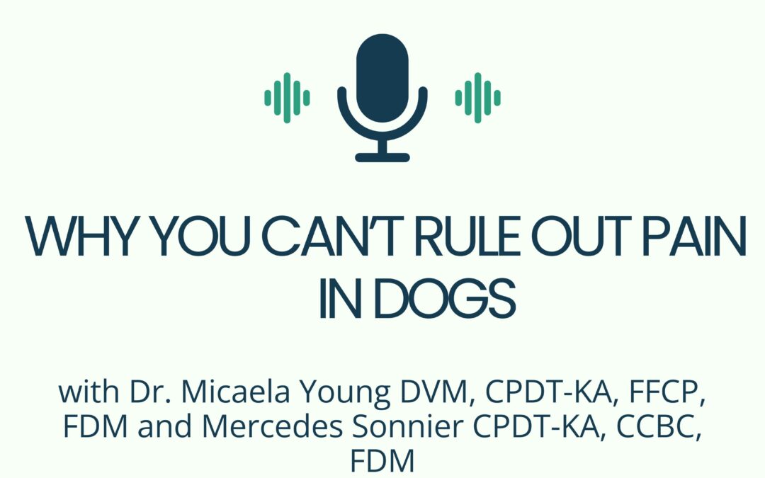 Why You Can’t Rule Out Pain in Dogs