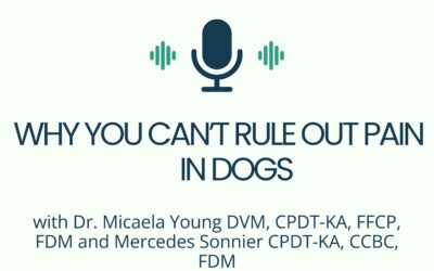Why You Can’t Rule Out Pain in Dogs