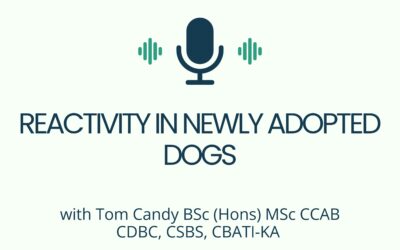 Reactivity in Newly Adopted Dogs