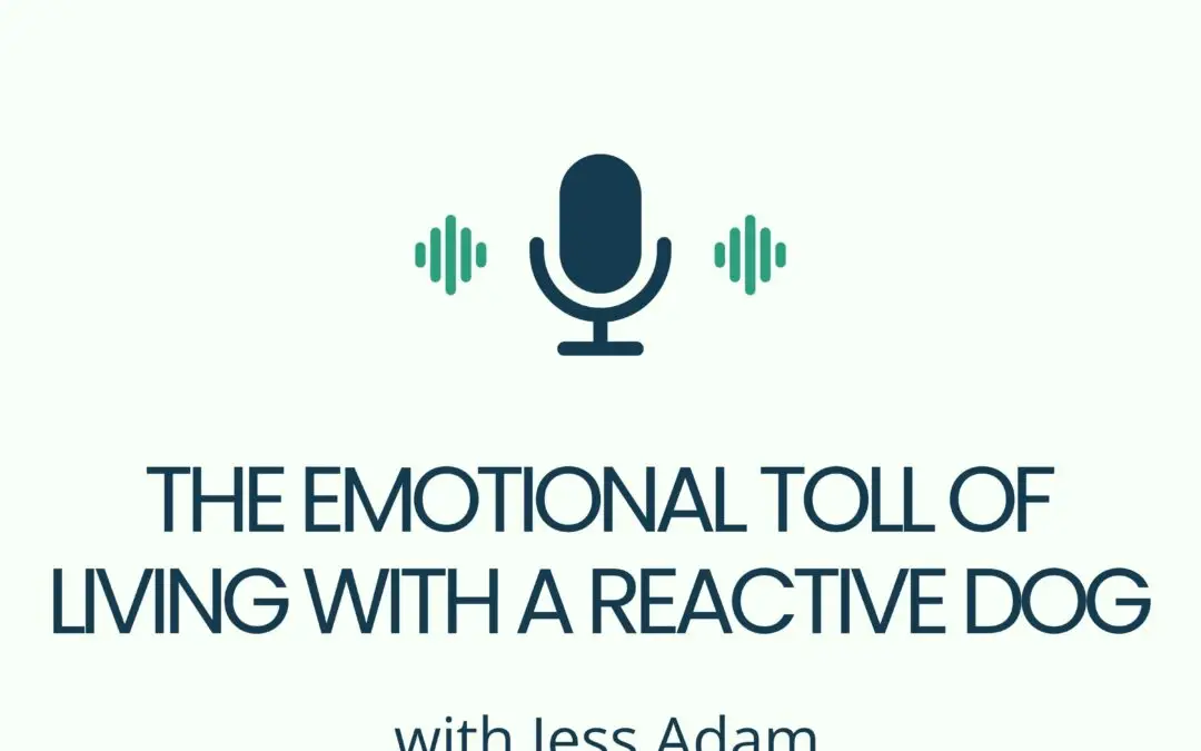 The Emotional Toll of Living With a Reactive Dog
