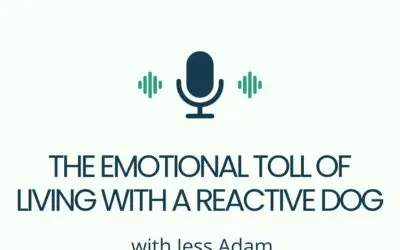 The Emotional Toll of Living With a Reactive Dog